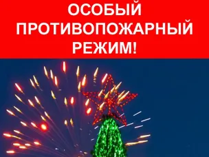 Об особом режиме в период новогодних праздников